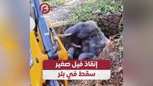 إنقاذ فيل صغير سقط في بئر