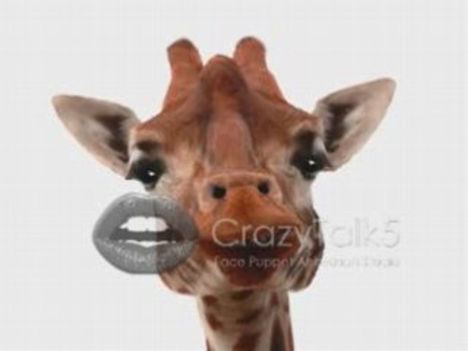 Crazy Giraffe with Kira Voices