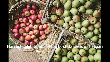 Harvest celebrations at the Lost Gardens of Heligan