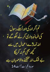 Surah Hujurat Ayat 14 Tarjuma