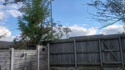 Northern Lights across Goosnargh