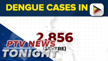 DOH records drop in dengue cases