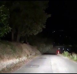 Un lupo vicino alle abitazioni a San Martino sulla Marrucina