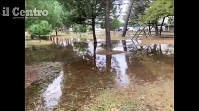 Il giorno dopo il nubifragio: pineta allagata e alberi sradicati
