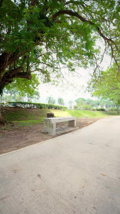 "A Broken Bench In The Park Follow For More Videos Have Trending reels"...!!