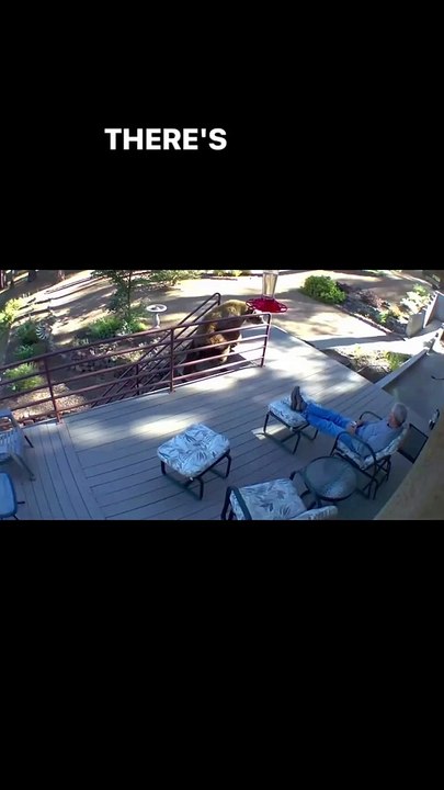 This man didn't even flinch when a huge bear came