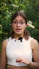 Et toi quel est ton langage préféré ?