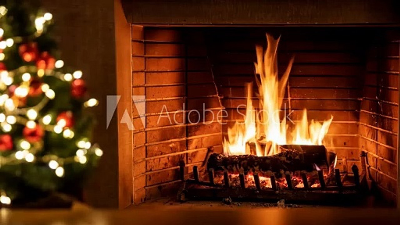 AdobeStock_915382279_Video_HD_Preview