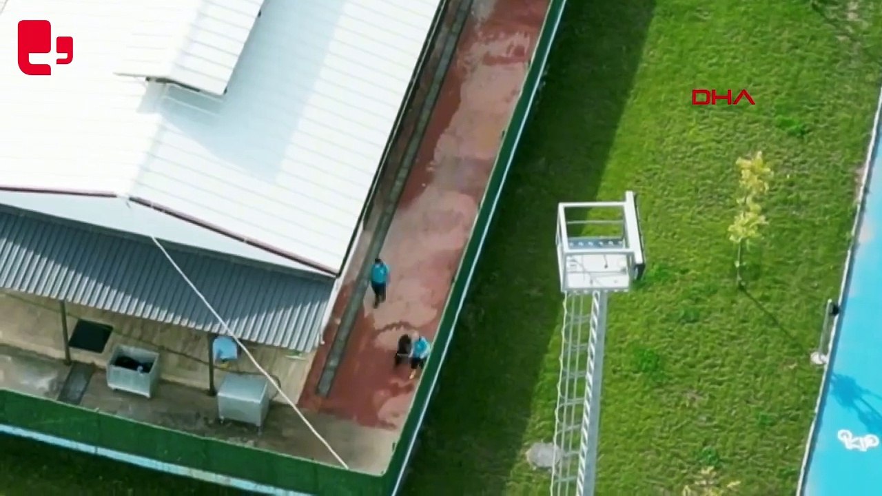 Untitled video - MadeGebze'de hayvan katliamı: Drone görüntüleri ortaya çıktı, iğne şişesi delil olarak alındı with Clipchamp