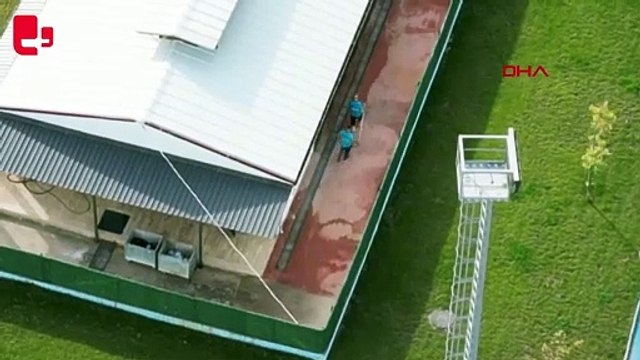 Gebze'de hayvan katliamı: Drone görüntüleri ortaya çıktı, iğne şişesi delil olarak alındı