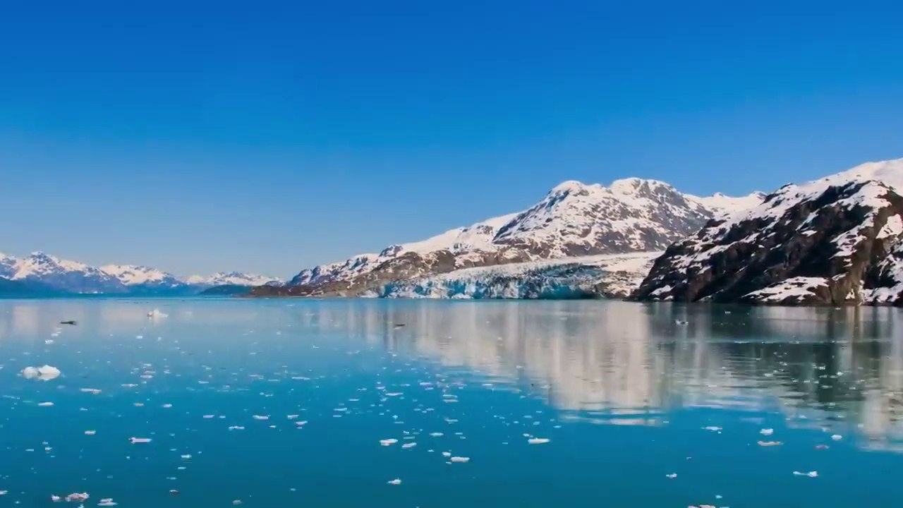 World of the Wild _ Episode 3_ The Great Barrier Reef _ Free Documentary Nature