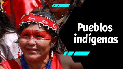 Al Aire | Diputada Nicia Maldonado: “507 años de invisibilidad, 25 años de inclusión en Revolución”