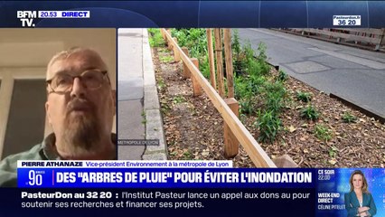 Arbres de pluie: une méthode pour "rendre la ville perméable" et lutter contre les crues à répétition