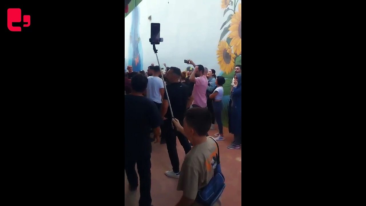 Gebze’de hayvan katliamı: Köpek ve kediler Keta-Control denen anestezi ile mi öldürüldü?