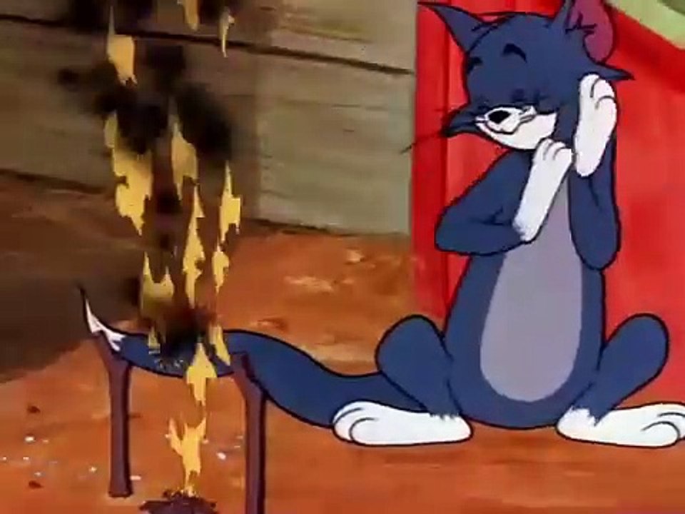 Tom and jerry funny cartoon