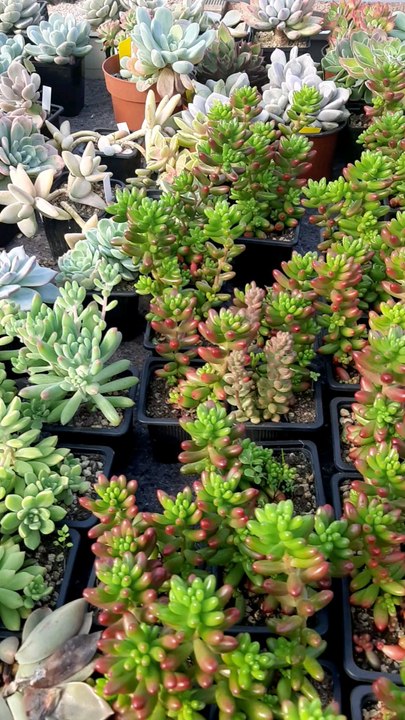 Voici ma nouvelle vidéo