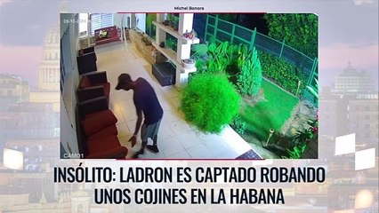 Insólito: Ladrón es captado robando unos cojines en La Habana