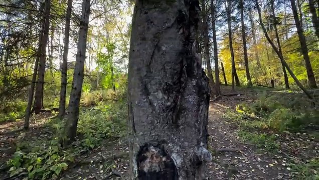 CH 11 Oct TOPO Violence polyvalente du Plateau