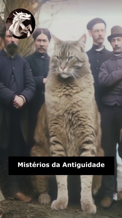Inexplicável