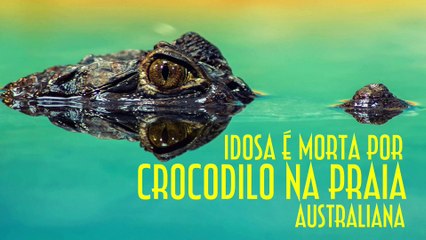 Idosa é morta por crocodilo na praia australiana - EMVB - Emerson Martins Video Blog 2017
