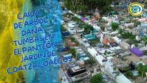 Caída de árbol daña tumbas en el Panteón Jardín de Coatzacoalcos