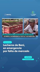 Lecheros de Beni, en emergencia por falta de mercado