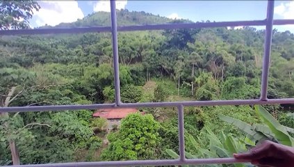 Manhunt Underway for St James Man After Stabbing and Kidnapping Victim’s Son 🚓