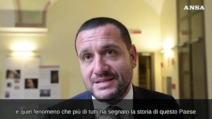 Giornata dell'Emigrazione al Senato: "Fenomeno che ha segnato il nostro Paese"