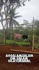 beautiful rural atmosphere