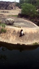 Mom is teaching them how to jump into the water. 