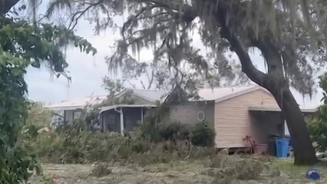 tn7-Huracán Milton: Tico encuentra su casa con un gran árbol encima-111024