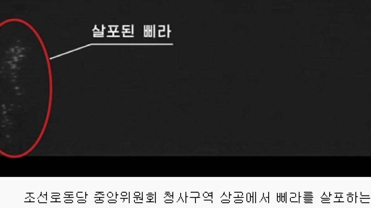 북 노동신문, '무인기 평양 침투' 보도...주민들에 공개 / YTN