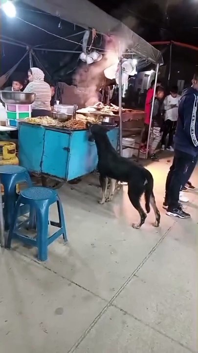 Cuando hasta el chUchO cae en el Canibalismo!