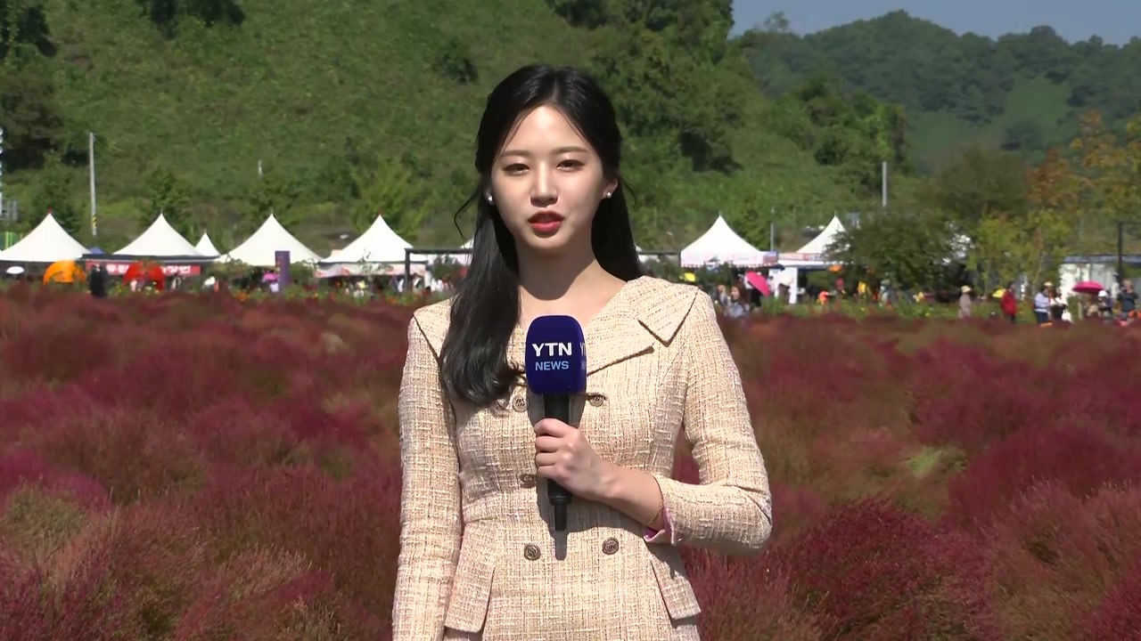 [날씨] 주말, 따스한 가을 날씨...가을 정취 무르익은 공원 / YTN