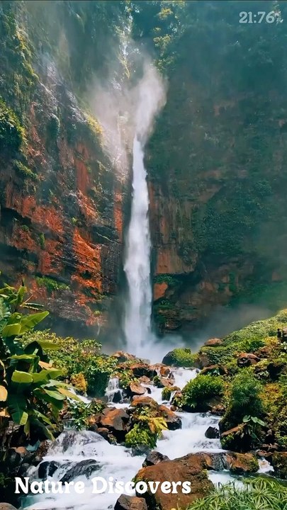 Water  sounds with Birds Music♬|| Nature Discovers..........#shorts #naturesounds #natureshorts#Nature Discovery #Nature Videos #RelaxingNature #NatureShorts #WaterShorts #ShortsVideo #NatureRelaxation #CalmWaters #SoothingNature #PeacefulNature #Tranqu