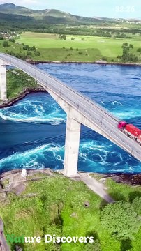 Relaxing music ♬ ||Mexico Bridge || Nature Discovers..........#shorts #naturesounds #natureshorts