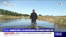 Inondations: à Noirmoutier, ce maraîcher découvre les dégâts après les intempéries