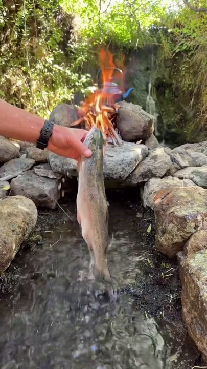 Campfire Delight Cooking Up a Storm in the Forest #313 #trendingreelsvideo  #cooking  #yummyfood  #forest  #campinglife  #naturelovers  #foodlover  #outdoors  #outdoorliving  #cookingwithlove  #river Write video title