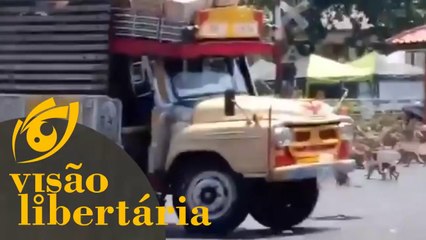Cuidado com as ruas do Rio de Janeiro | Visão Libertária - 20/03/20 | ANCAPSU