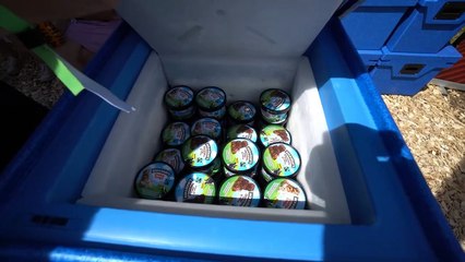 7249  Samstag Autakt Kühltasche Frage