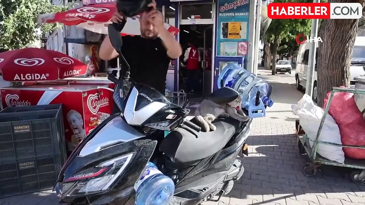 Kedisiyle Motosikletle Siparişleri Götüren Tüpçü