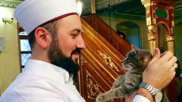 Gebze’deki hayvan katliamı sonrası sosyal medyada herkes onun sözlerini paylaştı: “Her canlının yaşama hakkı vardır”