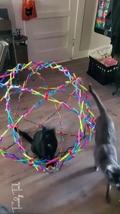 Pokeball irl