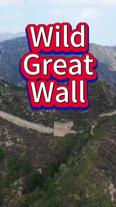 Wild Great Wall