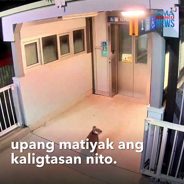 HULICAM! Kakaibang bisita sa train station, nahuli! | GMA Integrated Newsfeed