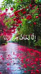 surah insan recitation