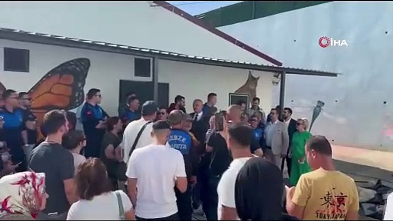 Gebze'de rehabilitasyon merkezindeki ölü sokak hayvanlarına ilişkin soruşturma başlatıldı