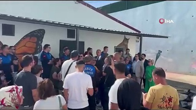 Gebze'de rehabilitasyon merkezindeki ölü sokak hayvanlarına ilişkin soruşturma başlatıldı