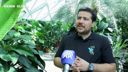 Madagaskar tıslayan hamam böcekleri çıkardıkları sesle şaşırtıyor