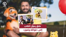حلاق يحوّل الكلاب إلى «فواكه ونمور»